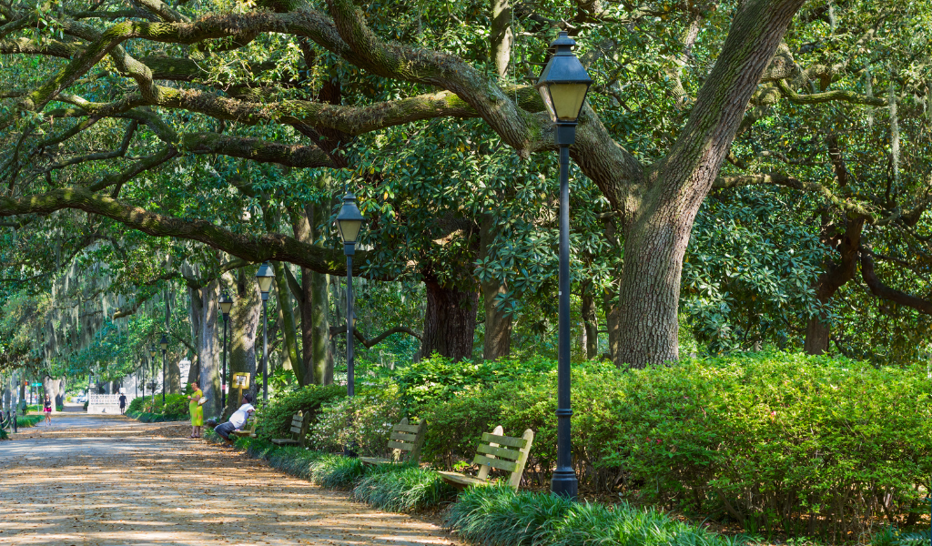 3._tyrone_ The Top 10 Safest Cities in Georgia with the Best Quality of Life