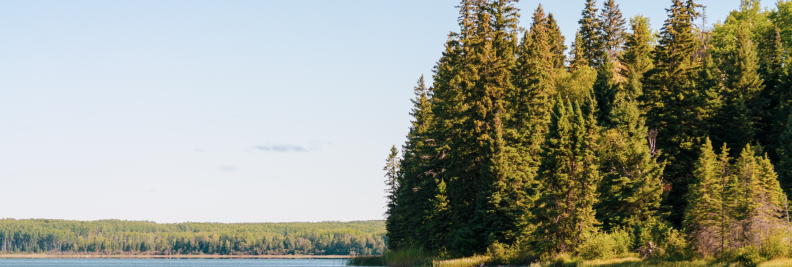5. Manitoba