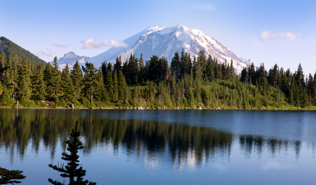 5. Washington 5. Washington
