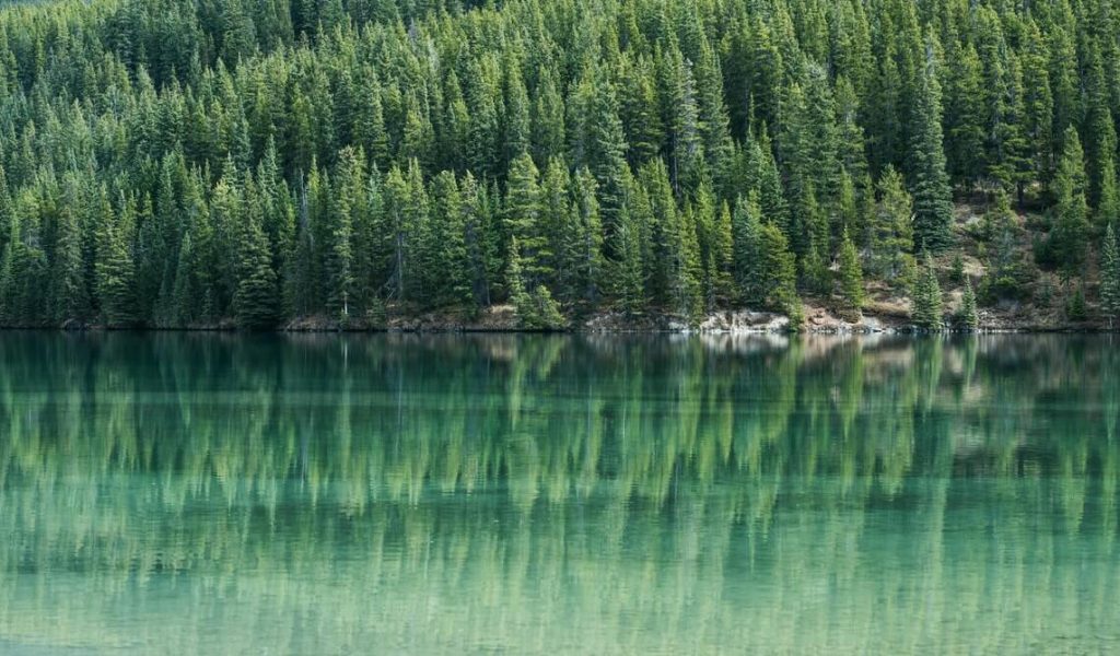 Banff - internet providers