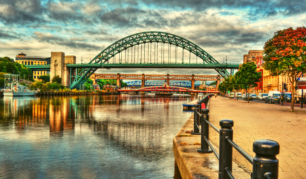 Best Newcastle removals