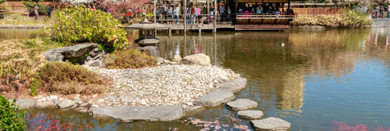 Boerum Hill - Pond Garden In Brooklyn