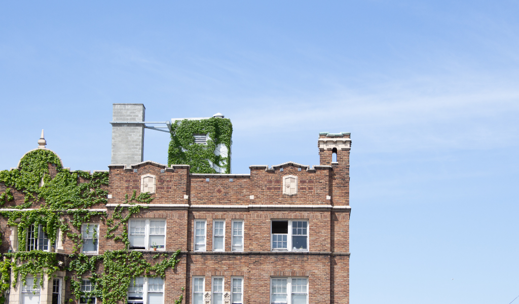 2. Capitol Hill – Best neighborhoods in Seattle 2. Capitol Hill - Best neighborhoods in Seattle