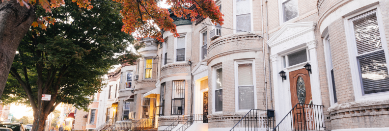 Dyker Heights - Neighborhood