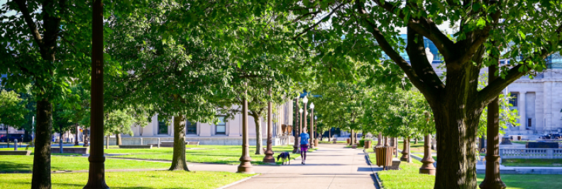 Best Neighborhoods in Washington, DC: Foxhall Crescent