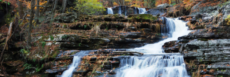 Best Neighborhoods in Washington, DC: Hawthorne (Barnby Woods)