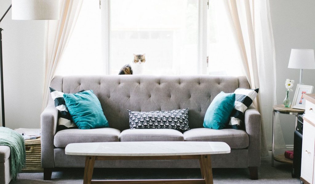 Quebec city - House Cleaning