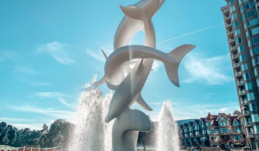 Best Junk Removal Companies in Kelowna