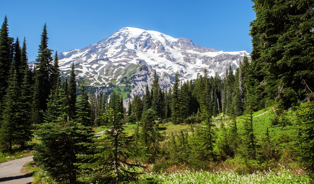 5. Madrona – Best neighborhoods in Seattle 5. Madrona - Best neighborhoods in Seattle