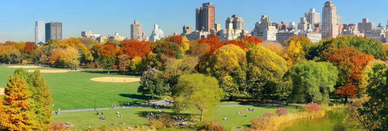 Midtown East - Central Park