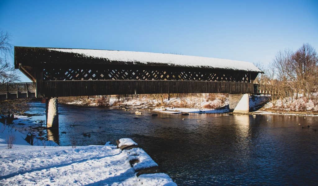 Top 4 Best Movers from Toronto to Guelph