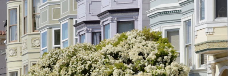 Cheapest Places to Live in San Francisco: Nob Hill