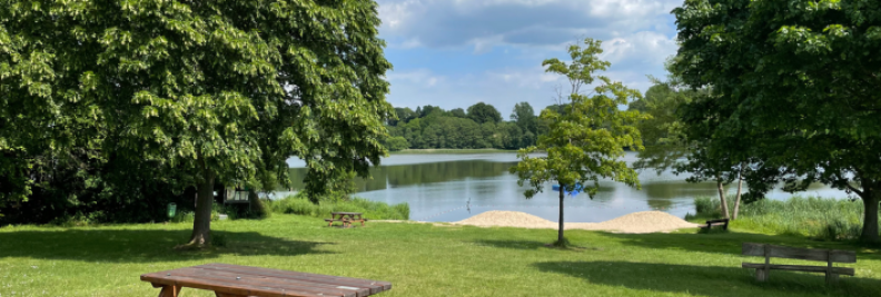 North Oak Park Picnic Table in a Park - Open green space