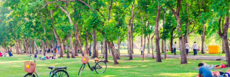 Safest Neighborhoods in Washington, DC: Palisades