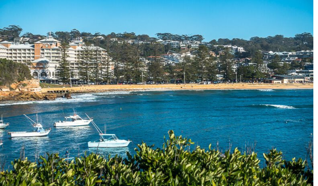 Central coast removalists