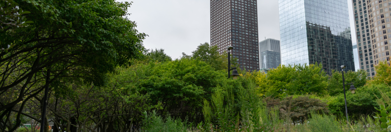 4. Streeterville - best neighborhoods in chicago