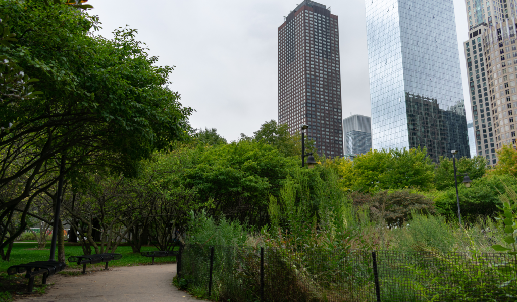 4. Streeterville – – best neighborhoods in chicago 4. Streeterville - best neighborhoods in chicago