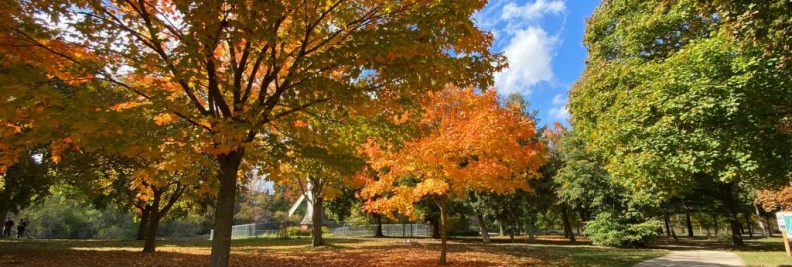 TOP10CITIES-Best places to live in CA-Wellington County, Ontario