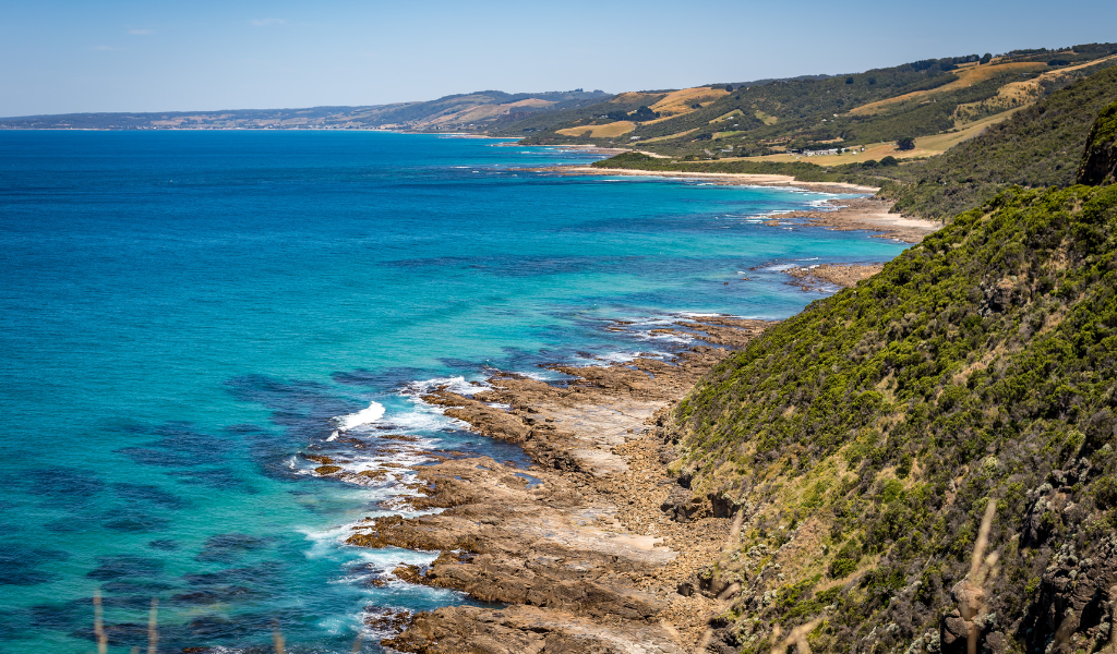 Top Best Truck Hire Companies in Sunshine coast