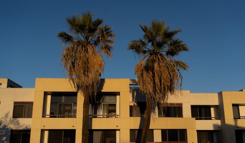 San Jose