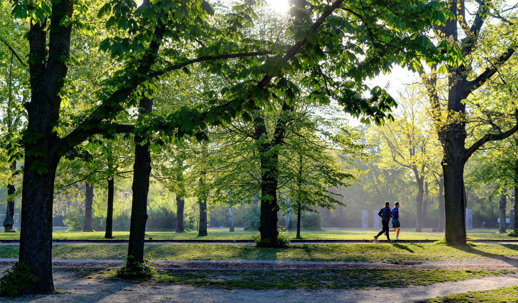 9. Enfield – cheapest places to live in London 9. Enfield - cheapest places to live in London