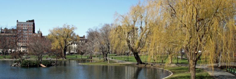 Safest Neighborhoods in Boston: Winchester, Boston