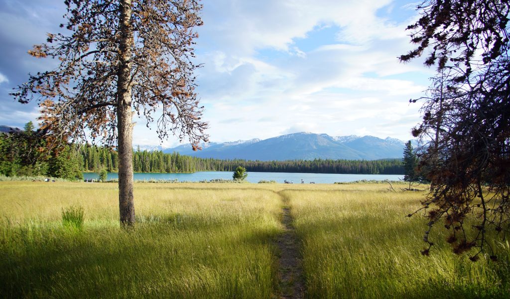 Spruce Grove - Moving Truck Rentals
