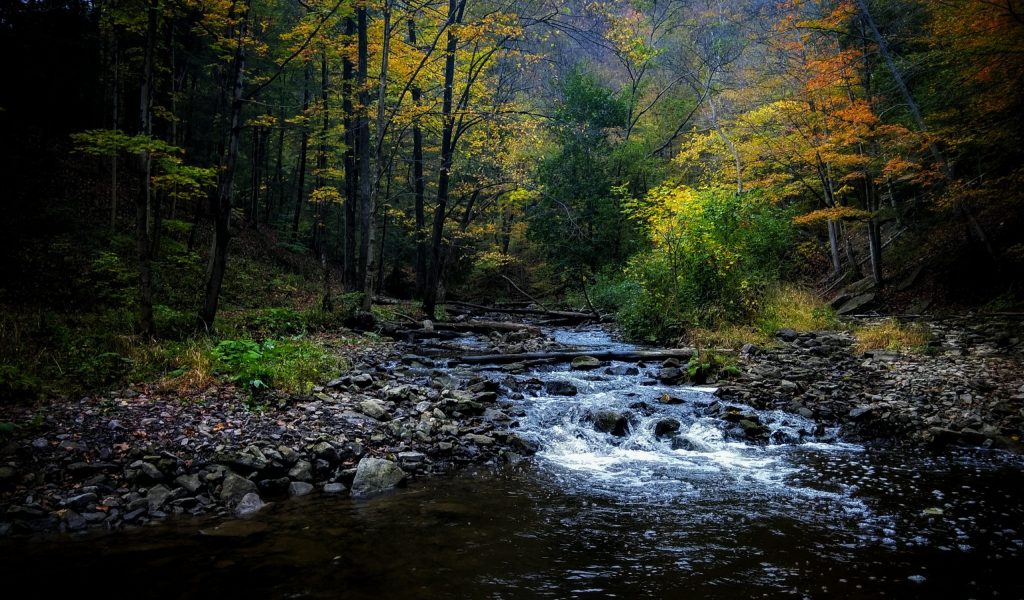 Top 5 Best Storage Units in Aberdeen