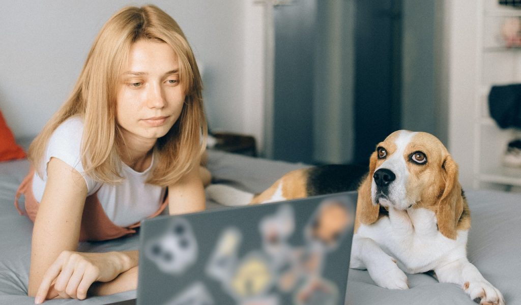 Surrendering Your Dog When Moving Surrendering Your Dog When Moving