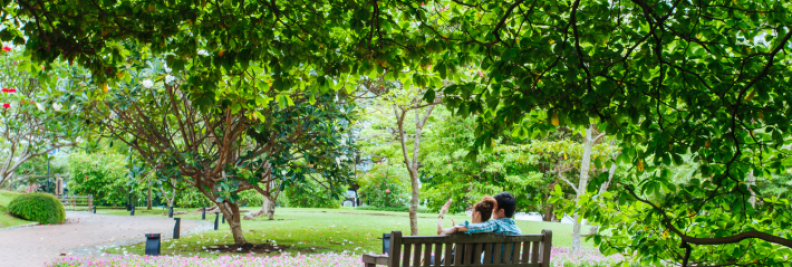 bayview park couple sf